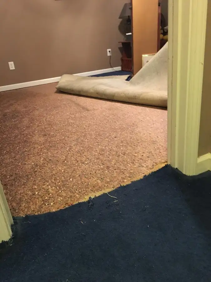 Carpet pad removal revealing water damage during Drying & Dehumidification in King City