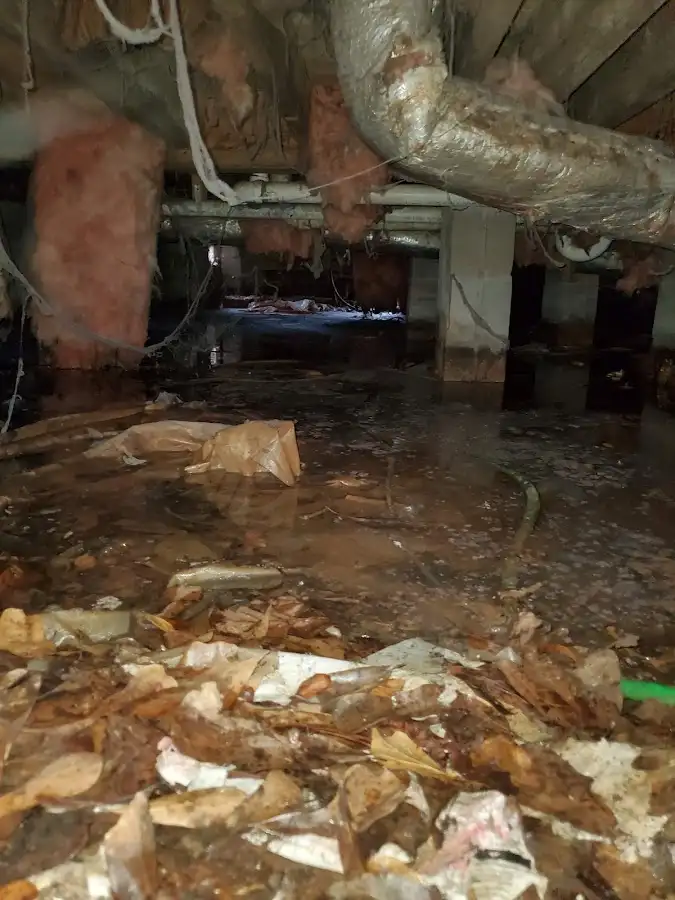 Crawl space flood assessment for Leak Detection & Repair in King City